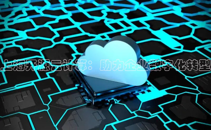 金年会金字招牌诚信至上|金年会首页赛富乐斯上海开源云计算：助力企业数字化转型