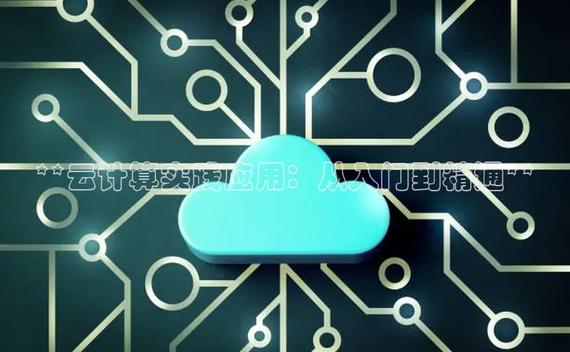jinnian金年会百度搜索资源平台**云计算实践应用：从入门到精通**