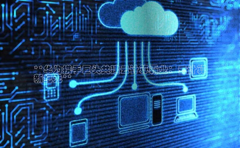 金年会官方网站入口中海达**华为携手巨头共建云计算霸业：云计算
新纪元**