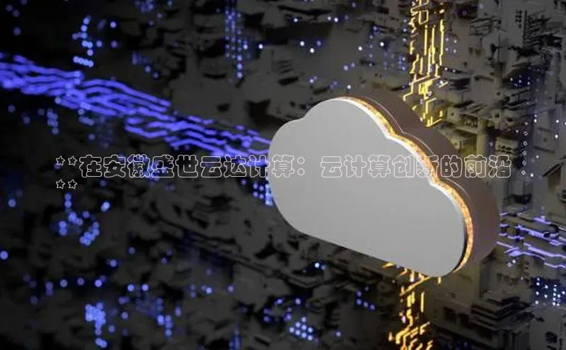 金年会官方网站入口百度手机卫士**在安徽盛世云达计算：云计算创新的前沿
**