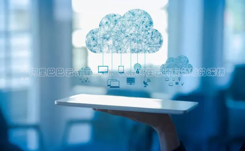 金年会官网登录入口百度手机输入法**阿里巴巴云计算战略：表解其在云计算领域的深耕
**