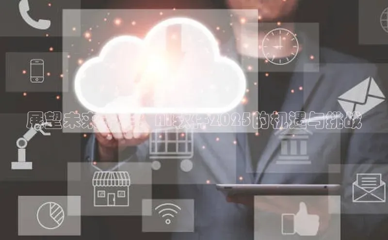 展望未来十年：AI软件2025的机遇与挑战