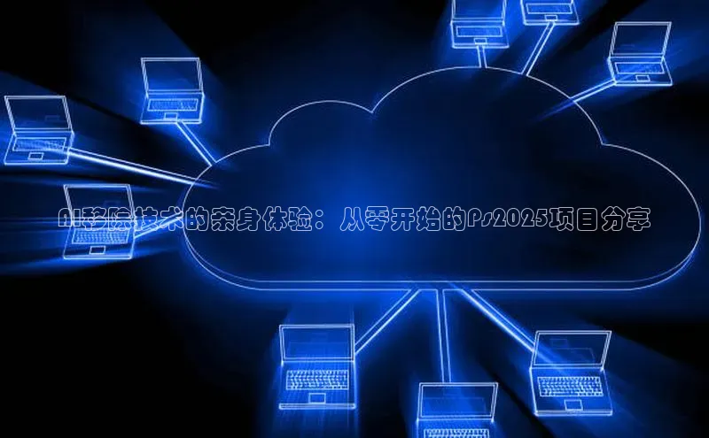 AI移除技术的亲身体验：从零开始的Ps2025项目分享